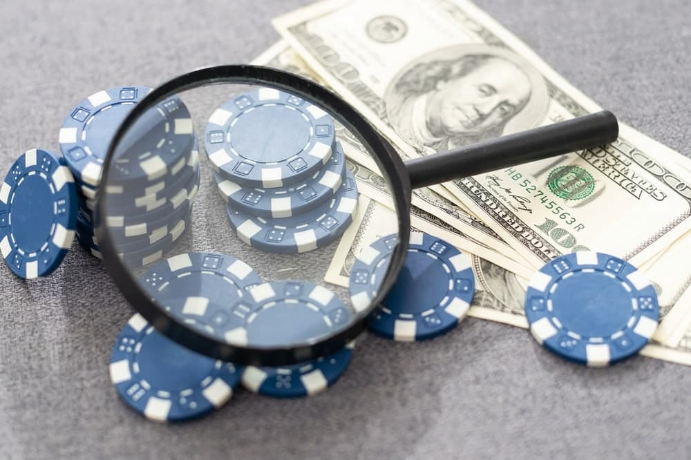 Investing in Blue Chips and Startups: What You Need to Know